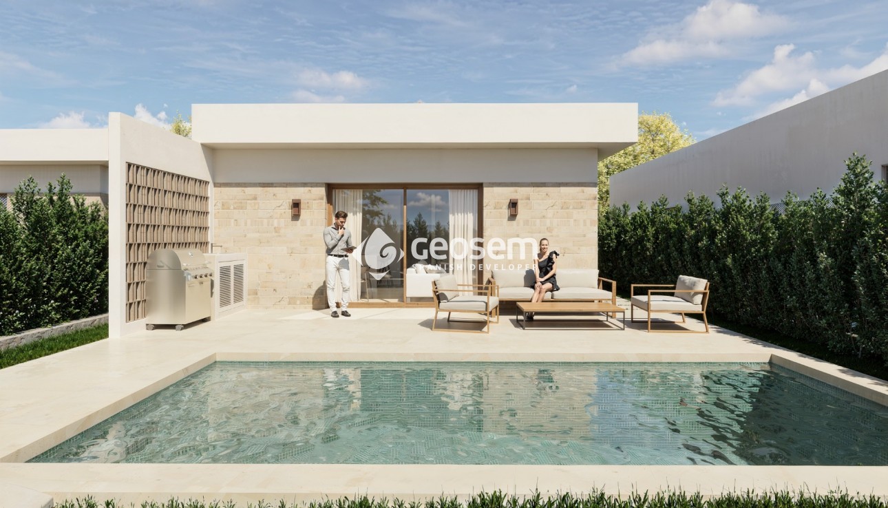 Nouvelle construction - Villa - Montesinos