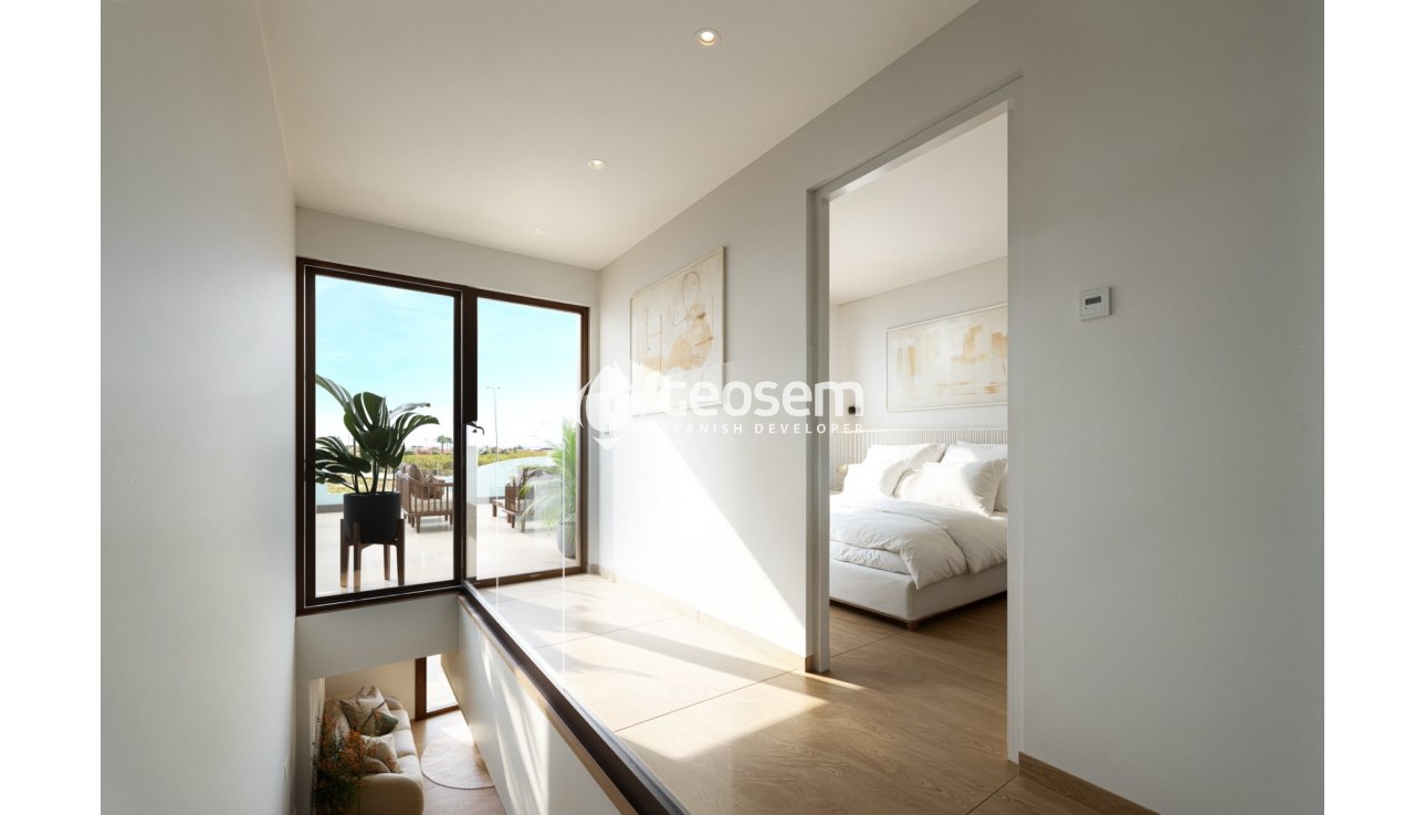 Nouvelle construction - Villa - Montesinos