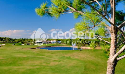 houses in las colinas golf